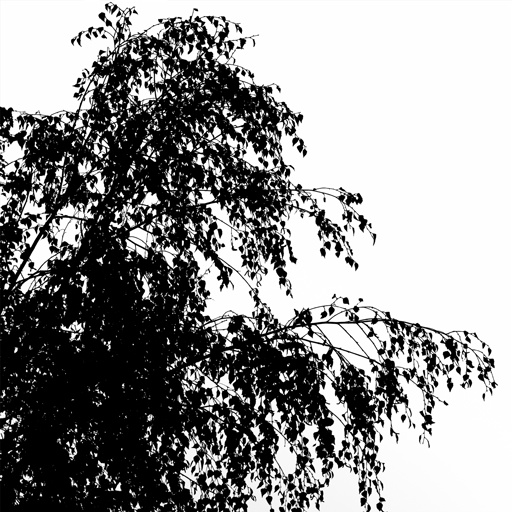 mxn_gobos_ext_tree_014_v01_srgb.png
