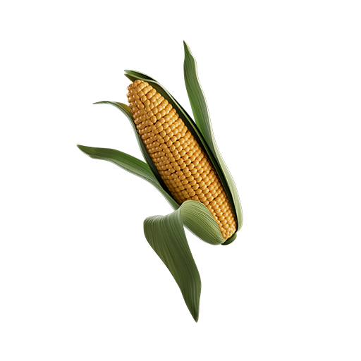 Corn