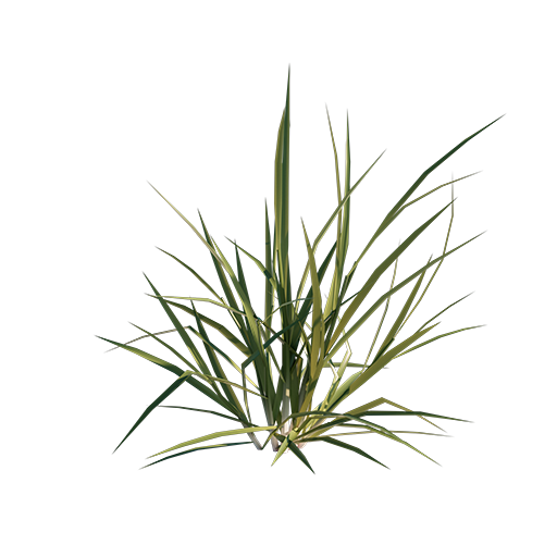 Grass 01 - Mid Size