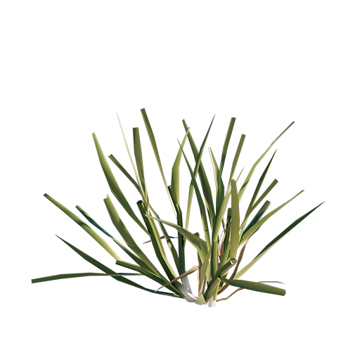 Grass 01 - Cut