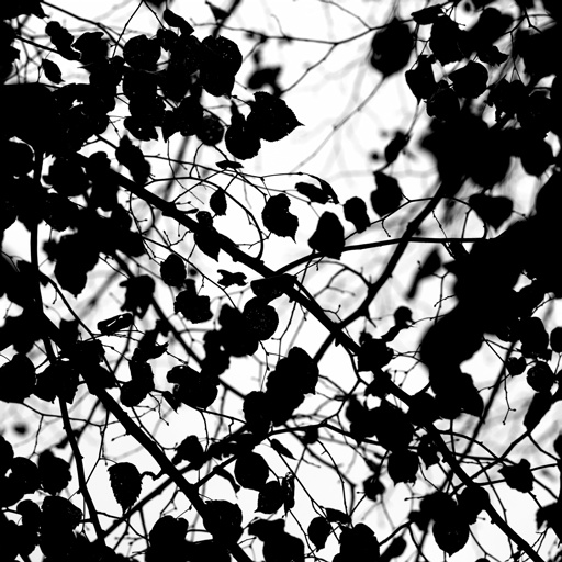 mxn_gobos_ext_tree_tile_u_003_v01_srgb.png