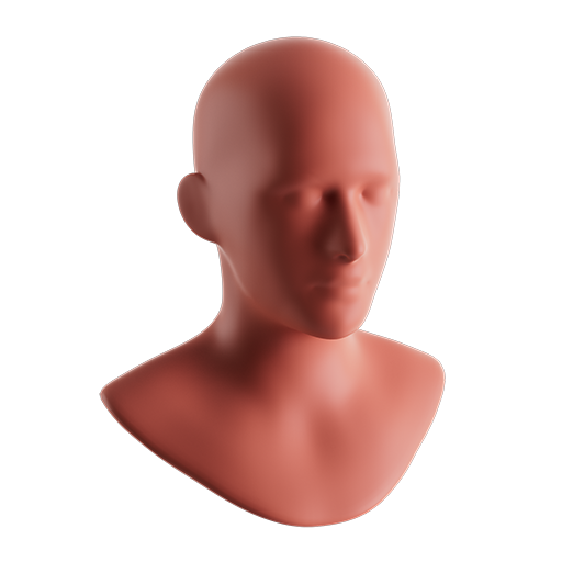 Generic Head Bust