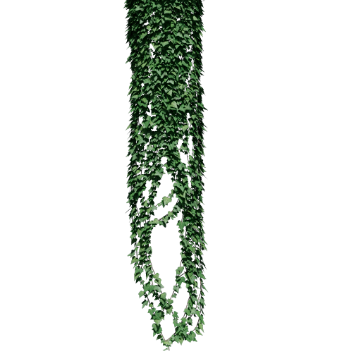 Ivy - Tree Stump