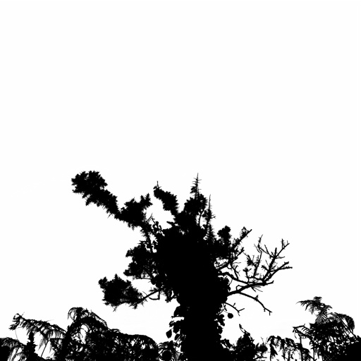 mxn_gobos_ext_bush_gorse_strip_tile_u_001_v01_srgb.png