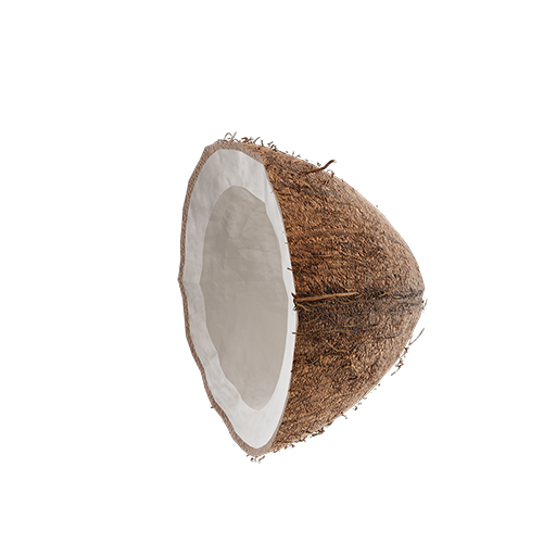 Coconut 02