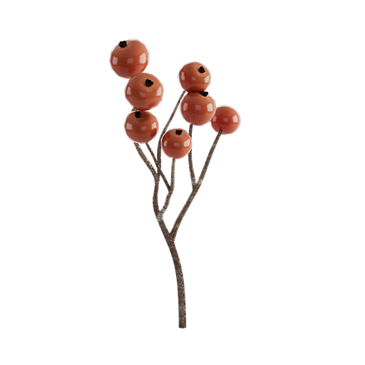 Berry Branch 01